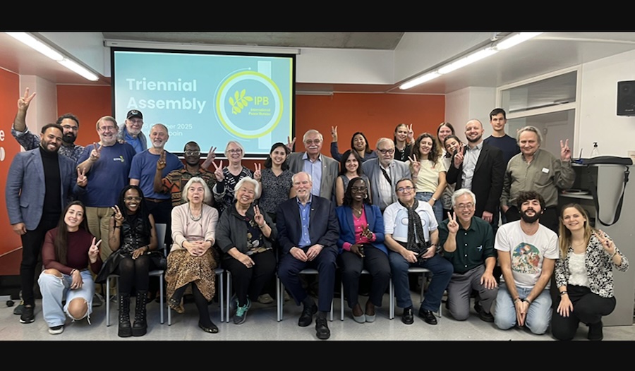 Spain: Four Days of Activities for Peace