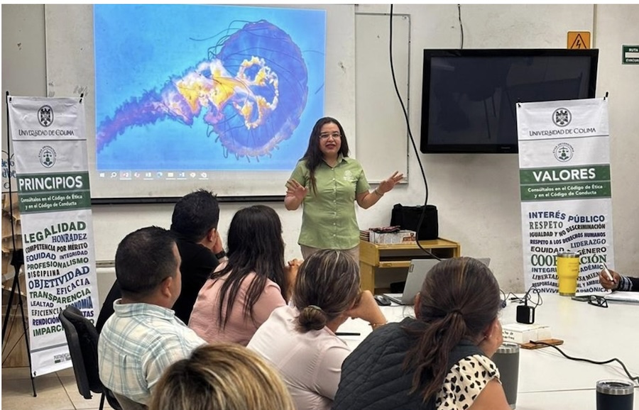 Mexico: Ethics as a Path to a Culture of Peace at the University of Colima