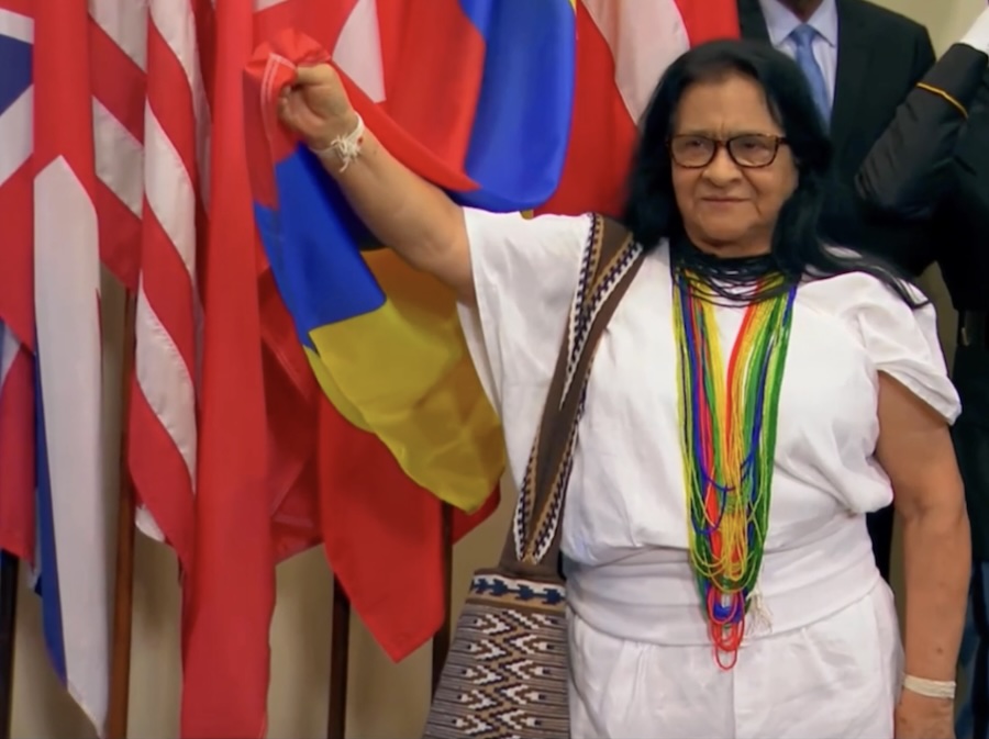 Colombia: Peace as a living system: Indigenous perspectives from the voice of Leonor Zalabata Torres