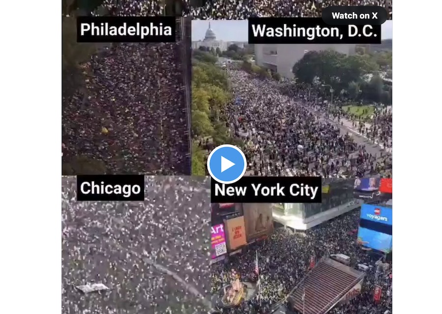 ‘No Kings!’ 8 Million Rally Against Trump in Largest Single-Day Protest in US History